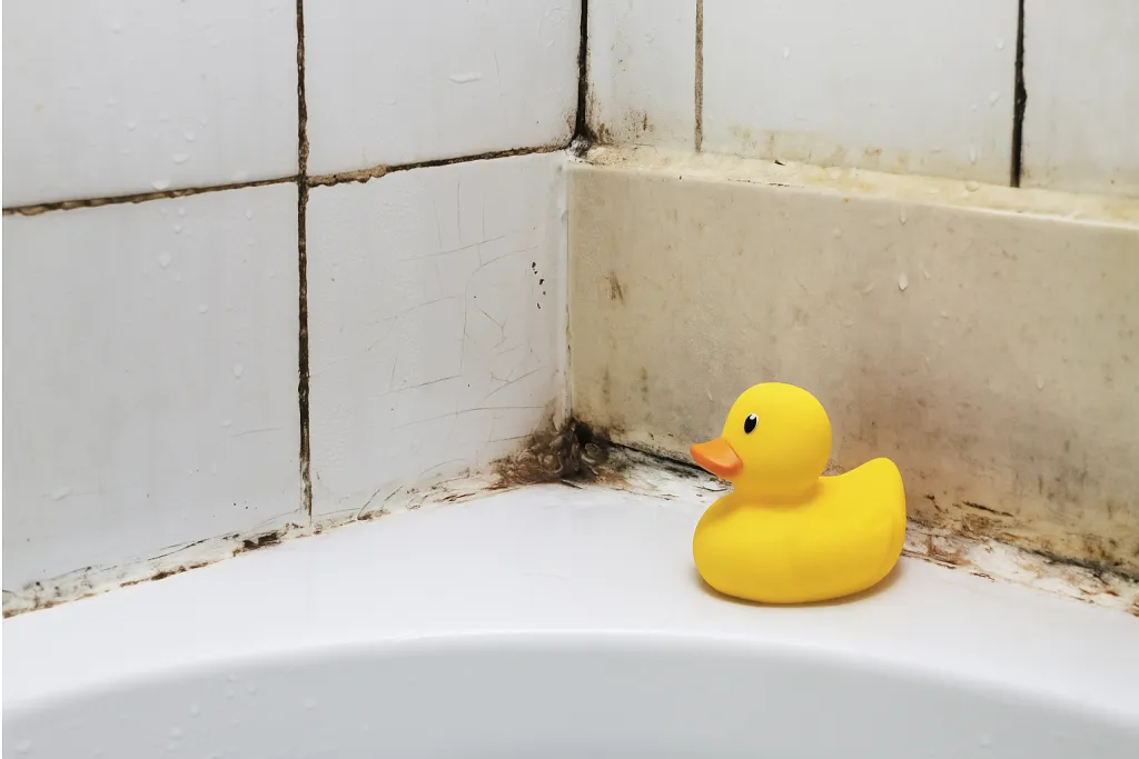 20251023_0859_Одинокая жёлтая уточка_remix_01k87t9gh0ersagxww66y368s5 (1).png