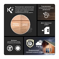 Пропитка декоративная для защиты древесины Pinotex Extreme тик полуматовая 2,5 л